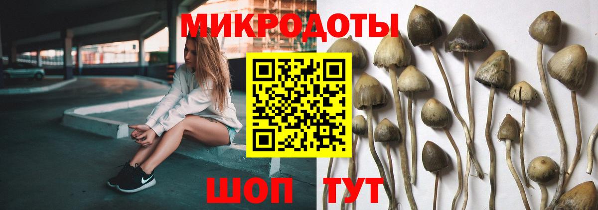 Родники  Псилоцибиновые грибы прущие грибы  Вход с VPN  Галлюциногенные грибы мухоморы 